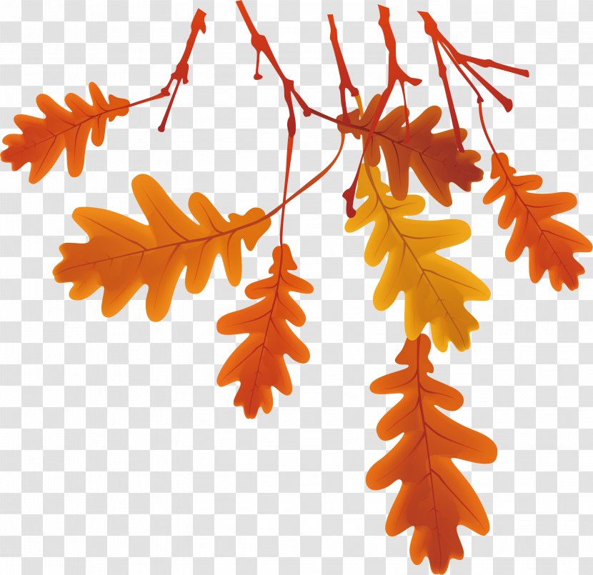 Autumn Leaves - Gratis - Maple Leaf Transparent PNG
