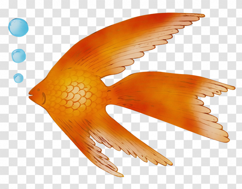 Fish Orange S.a. Wing Riba Transparent PNG