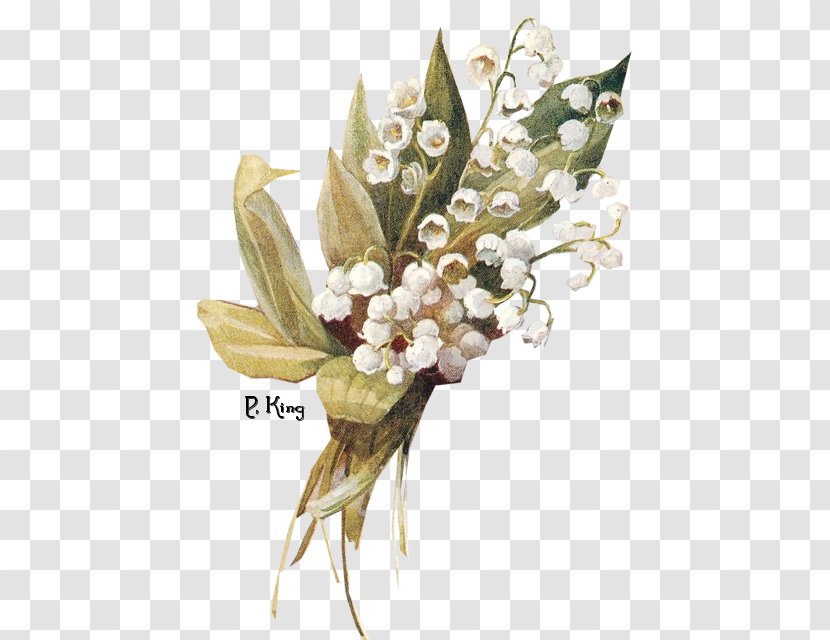 Lily Of The Valley Flower - Free Download Transparent PNG