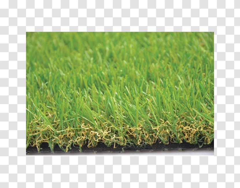 Artificial Turf Grasses - Grass - Book On The Transparent PNG