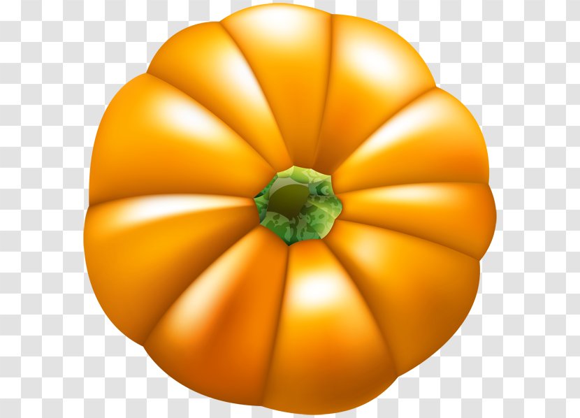 Pumpkin Gourd Winter Squash Calabaza - Order - Jackolantern Badge Transparent PNG