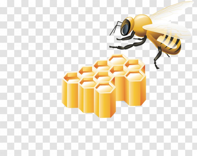 Bee Honeycomb Clip Art - Hive Transparent PNG