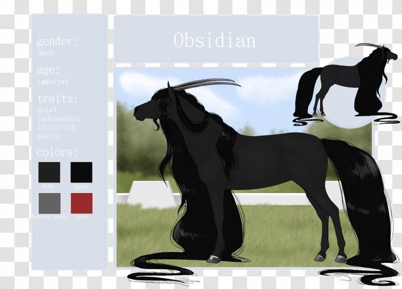 Mustang Stallion Advertising Freikörperkultur - Horse Like Mammal - Gentle And Quiet Transparent PNG