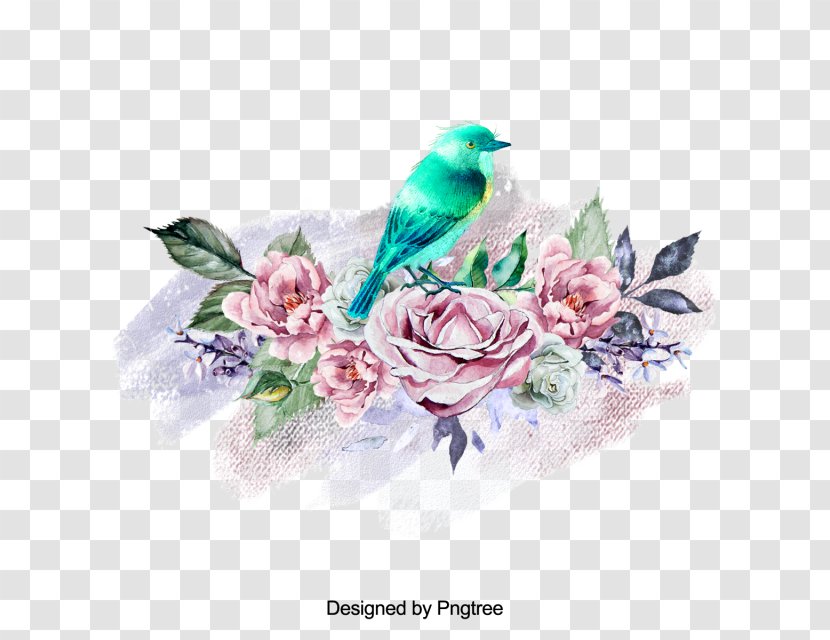Rose Family Floral Design Illustration Flower - Order Transparent PNG