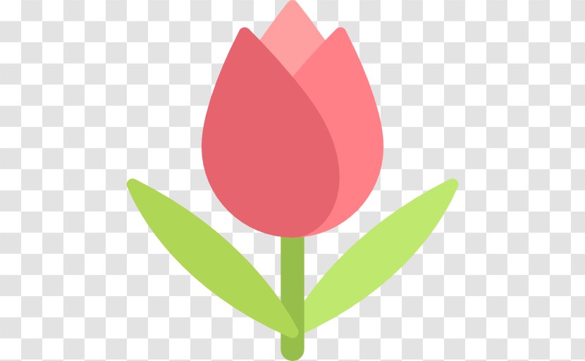 Tulip Clip Art - Seed Plant Transparent PNG