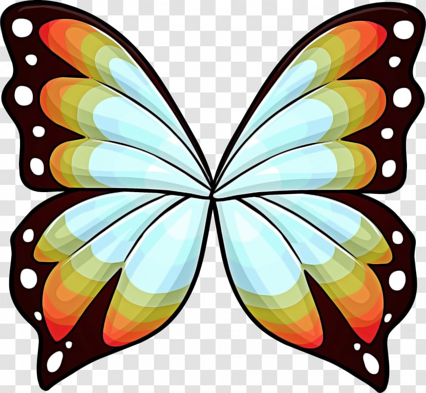 Monarch Butterfly - Insect - Viceroy Pollinator Transparent PNG