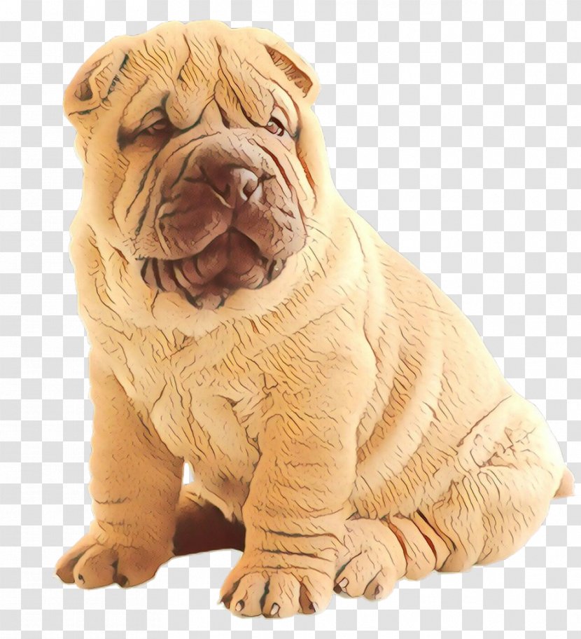 Dog Shar Pei Skin Ori-pei Wrinkle - Cartoon - Oripei Transparent PNG