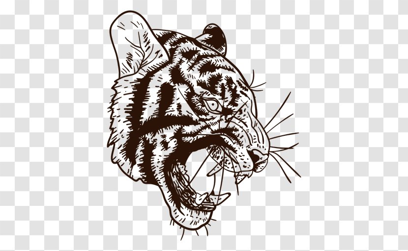 Tiger Lion Cat Whiskers Vector Graphics - Frame Transparent PNG