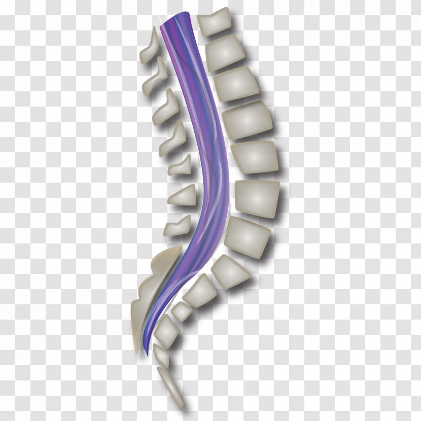 Green Bay Packers Carpal Tunnel Syndrome Wrist Pain Vertebral Column - Hand - Spinal Cord Transparent PNG
