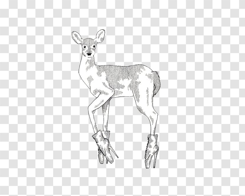 Reindeer Antelope Pack Animal Line Art Sketch Transparent PNG