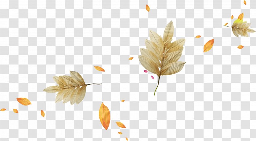 Photography Bit Clip Art - Branch - Autumn Transparent PNG