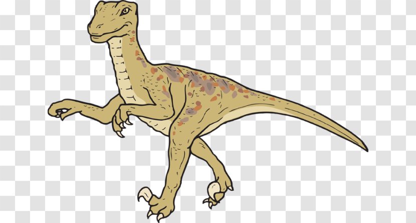 Velociraptor Tyrannosaurus Dinosaur Search Triceratops - Cartoon Transparent PNG