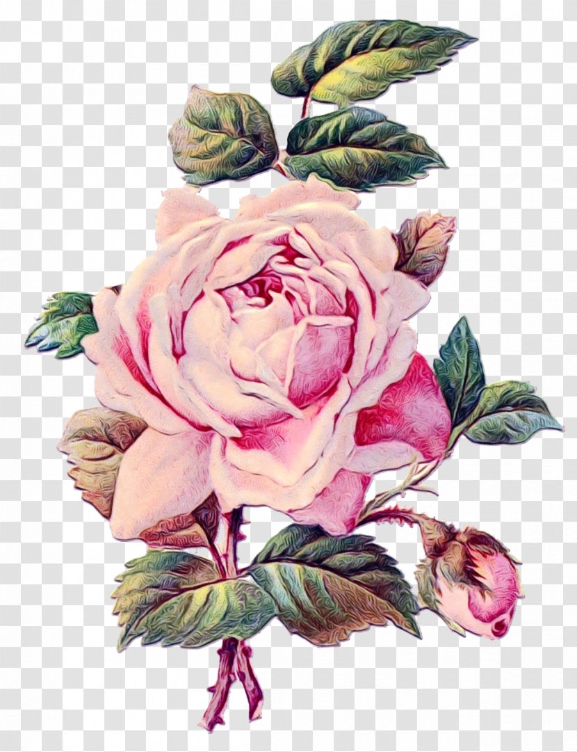 Flower Art Watercolor - Temporary Tattoos - Bouquet Floribunda Transparent PNG