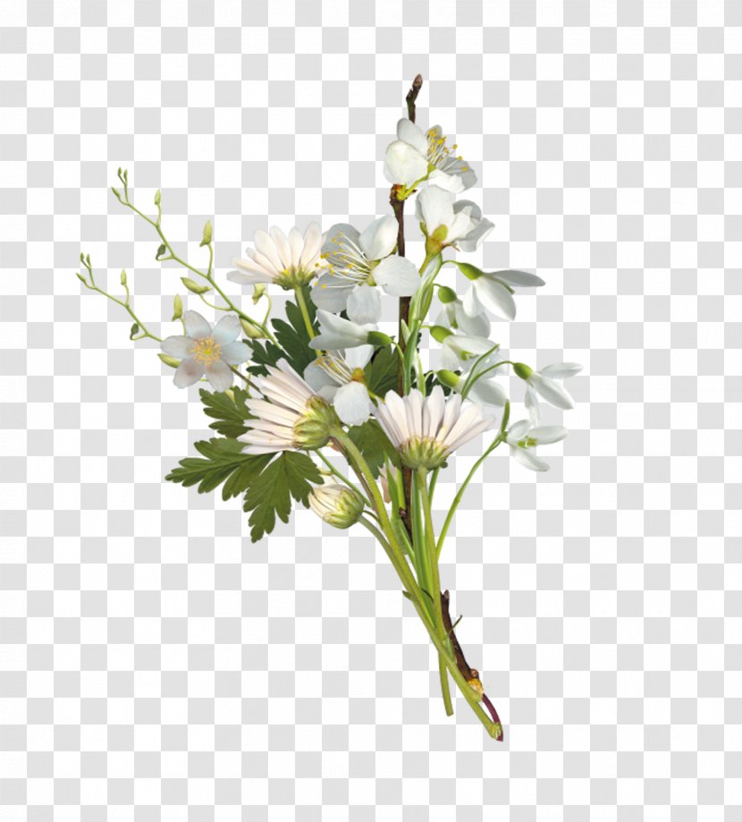 Flower Bouquet Chess 2017 Clip Art - Twig - Small Of White Chrysanthemums Transparent PNG