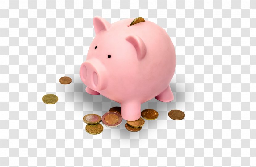 Tax-Free Savings Account Money Piggy Bank - Financial Transaction - Stove Transparent PNG