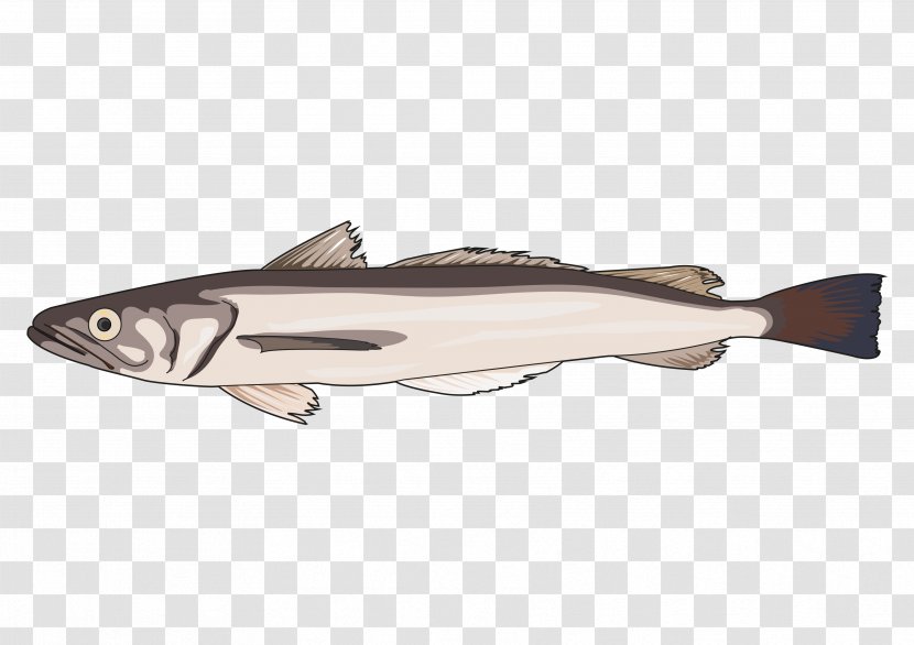 Cod 09777 Salmon Oily Fish Milkfish - Squaliformes - PESCADO Transparent PNG
