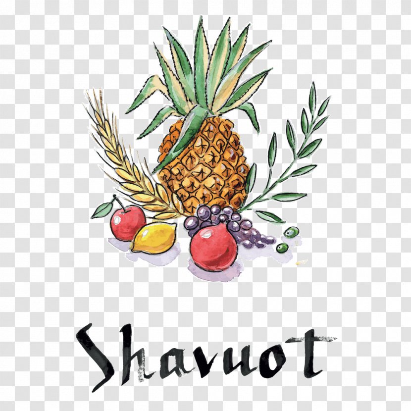 Shavuot Sukkot Jewish Holiday - Pineapple Transparent PNG