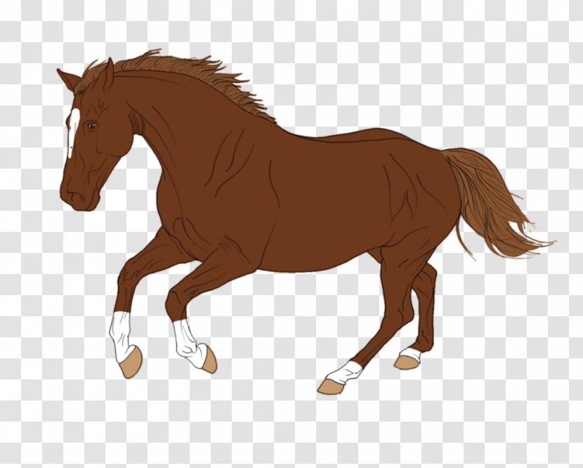 Mustang Stallion Foal Colt Mare Transparent PNG