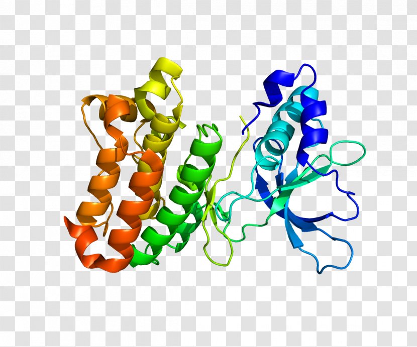 Protein EPHA7 Ephrin Receptor EPH A2 - Flower - Tridimensional Transparent PNG