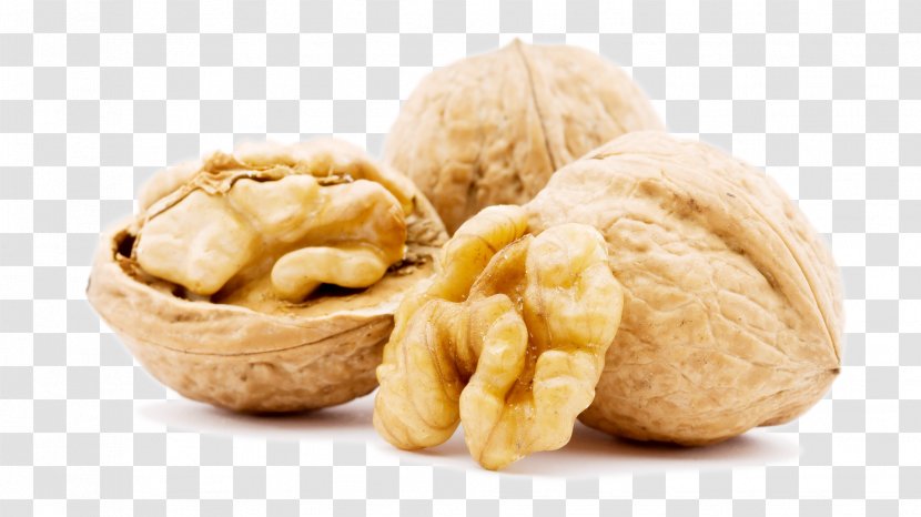 English Walnut Nuts Tree Nut Allergy - Hazelnut Transparent PNG