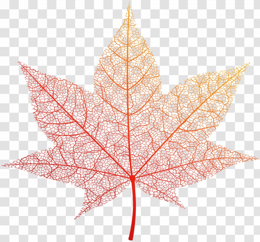 Image File Formats Lossless Compression - Autumn - Transparent Orange Leaf Clip Art Transparent PNG