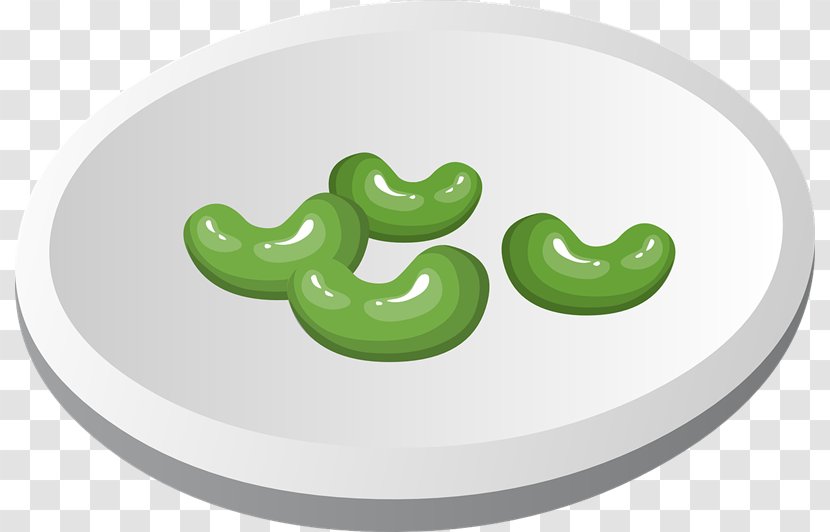 Lima Bean Green Baked Beans Clip Art - Clipart Transparent PNG