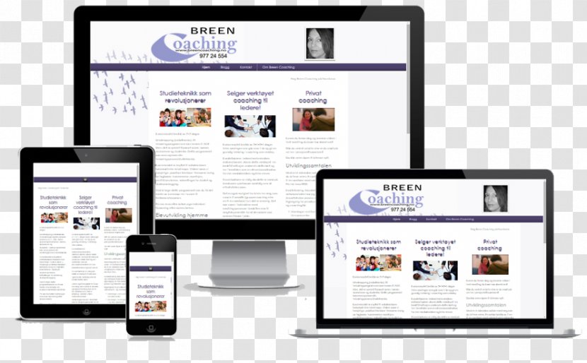 Responsive Web Design Search Engine Optimization Click-through Rate Affiliate Marketing Website - Digital - Breen Transparent PNG