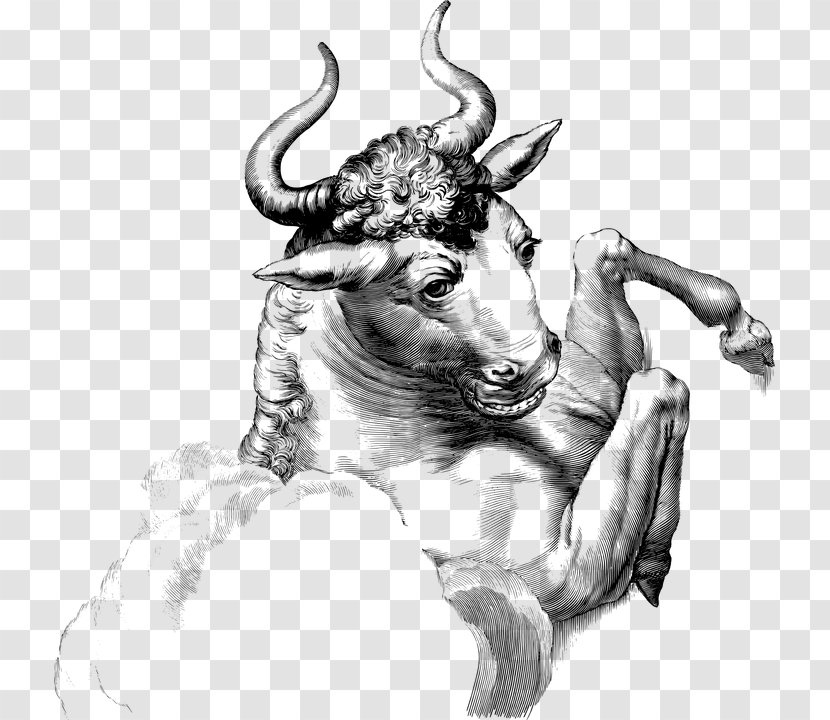 Taurus Astrological Sign Constellation Zodiac Astrology - Goat Antelope Transparent PNG
