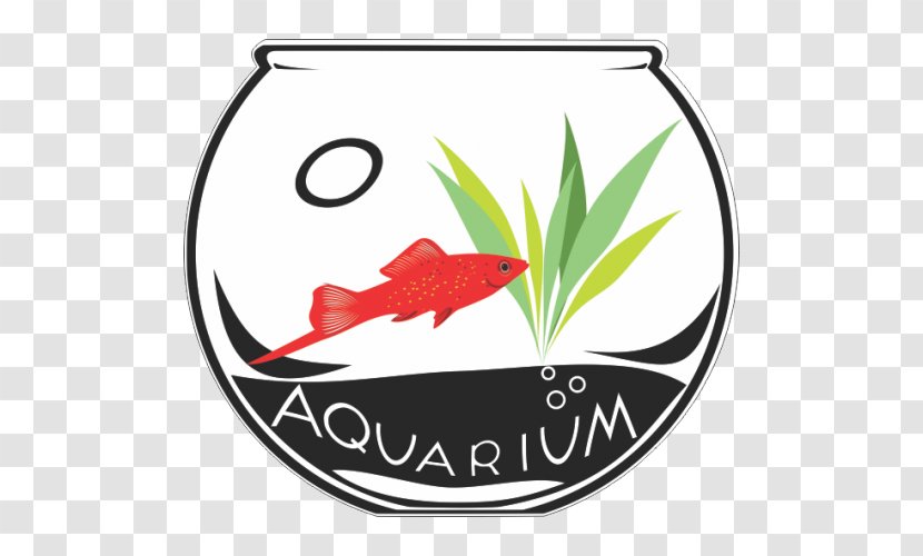 Vector Graphics Ornamental Fish Aquarium Image - Algae Transparent PNG
