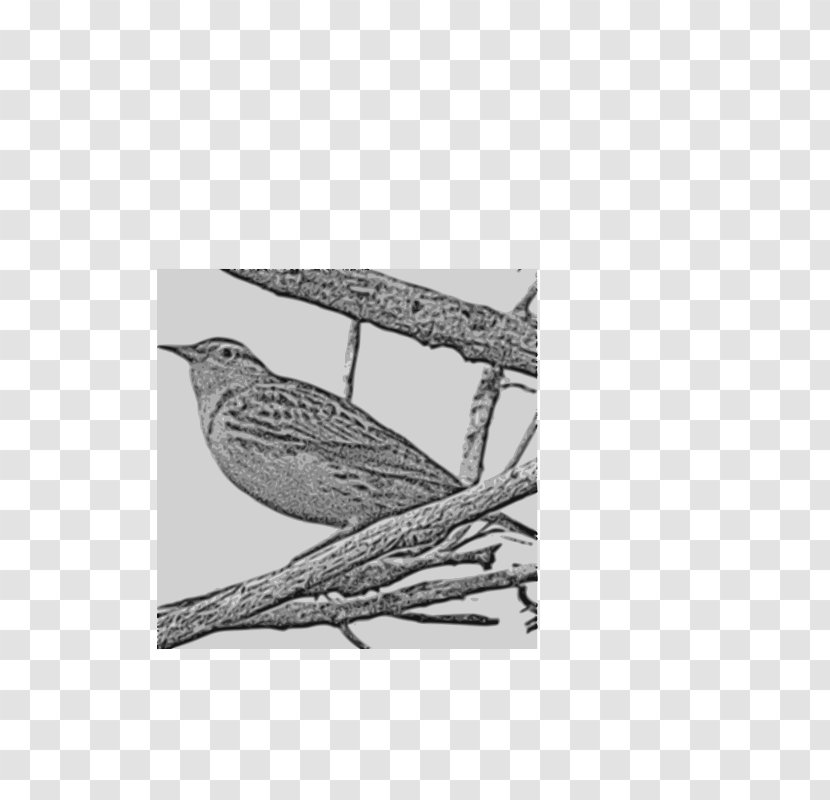 Western Meadowlark State Bird Clip Art Image - Wing Transparent PNG