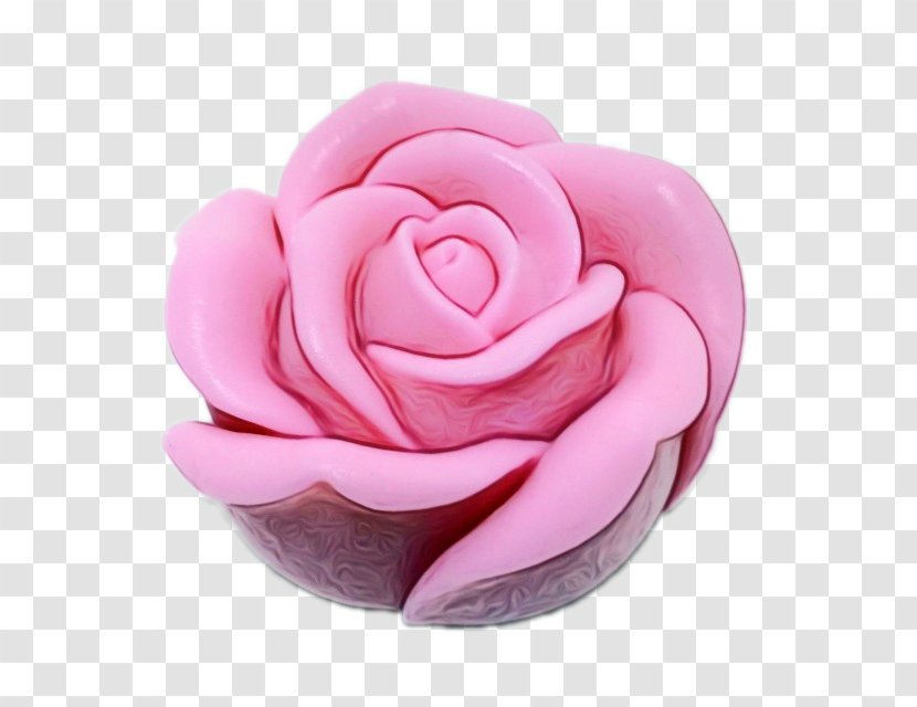 Pink Flower Cartoon - Camellia - Japanese Transparent PNG