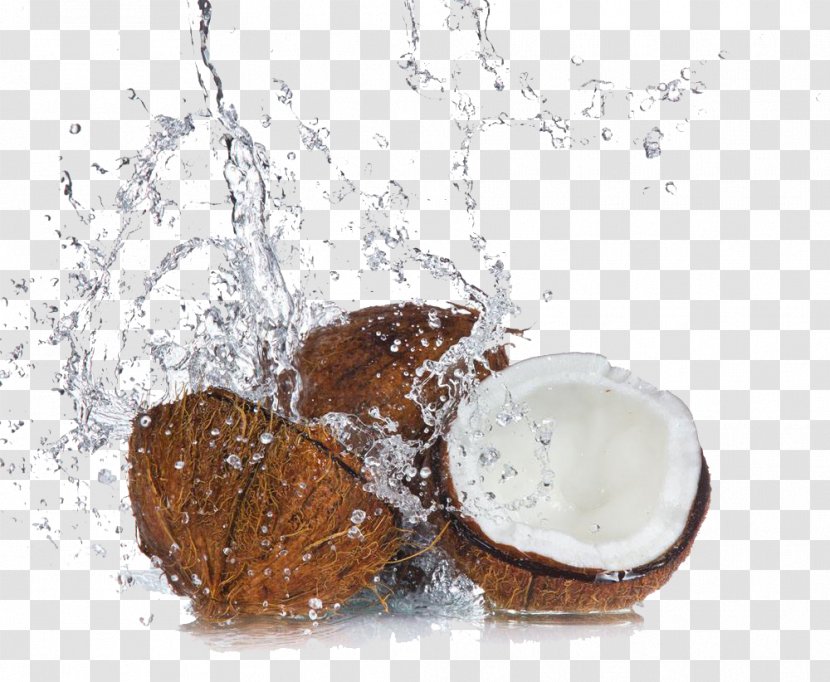 Sprayed Coconut Water Material - Tree - Cartoon Transparent PNG