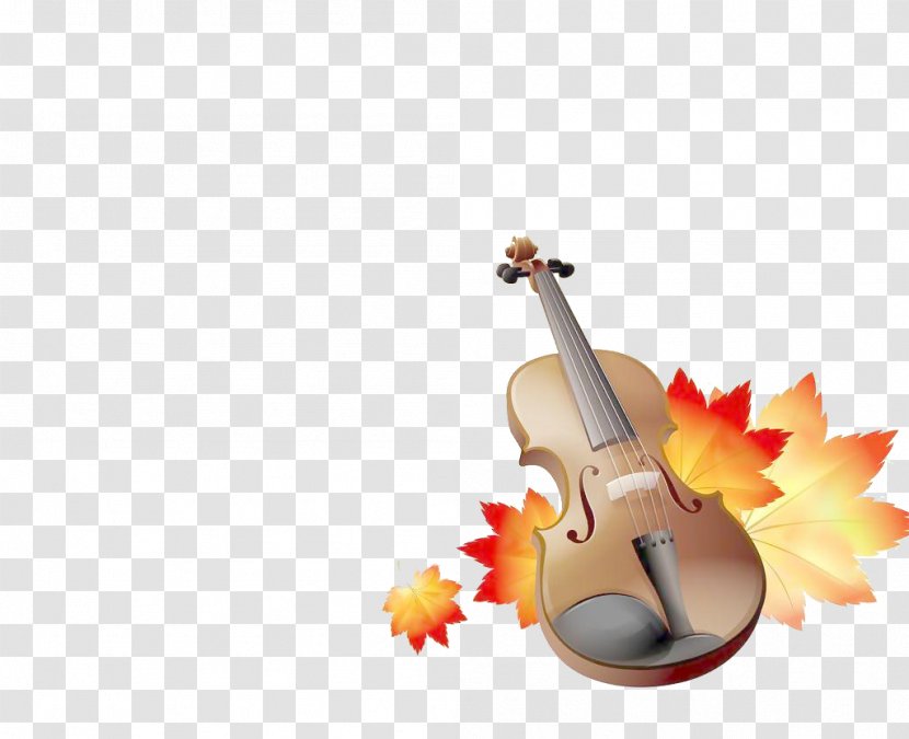 Violin Maple Leaf - Cello Transparent PNG