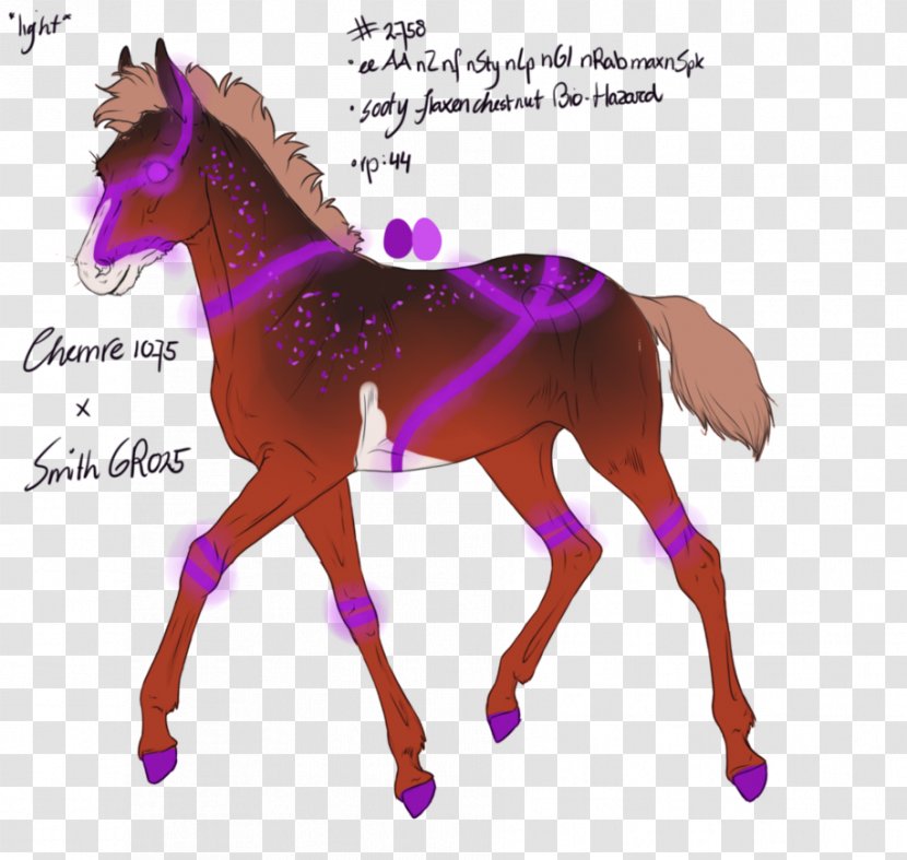 Mustang Stallion Foal Mane Pony - Horse Breed Transparent PNG