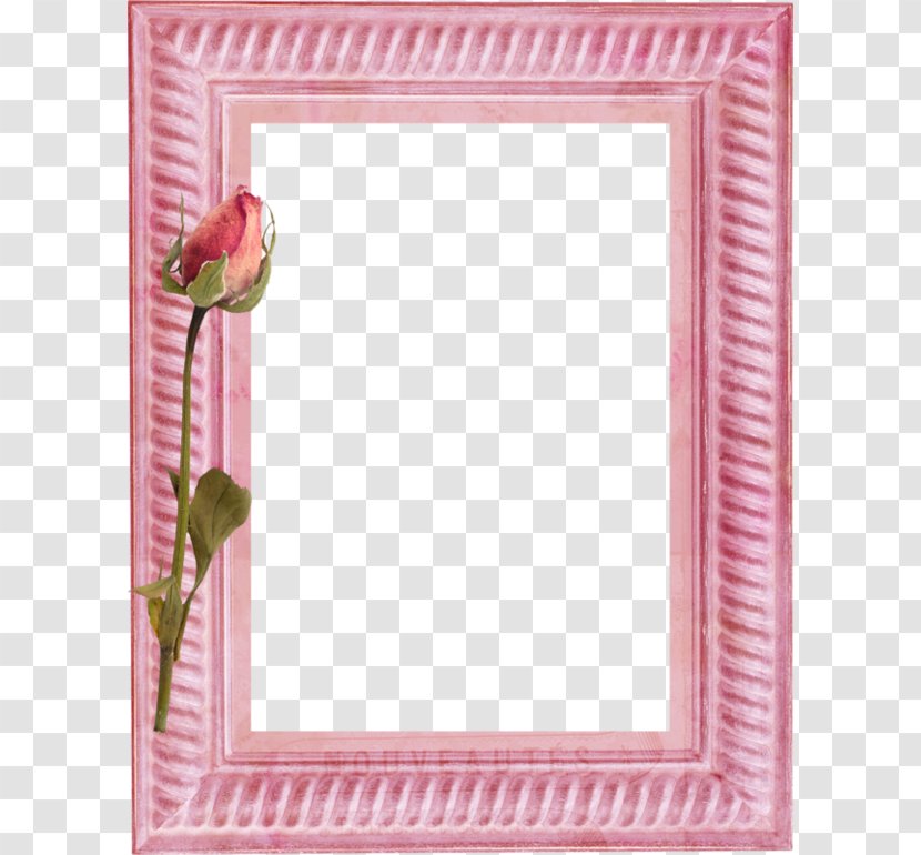 Painting Picture Frame Art - Warm Pink Transparent PNG