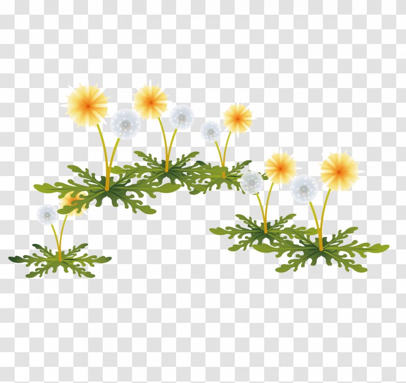 Dandelion - Designer - Painted Yellow Flowers Transparent PNG