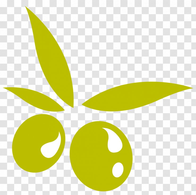 Beauty Cosmetics Nature Logo Brand - Face - Oliva Transparent PNG