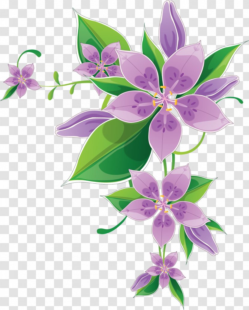 Border Flowers Drawing Clip Art - Plant - Venkateswara Transparent PNG