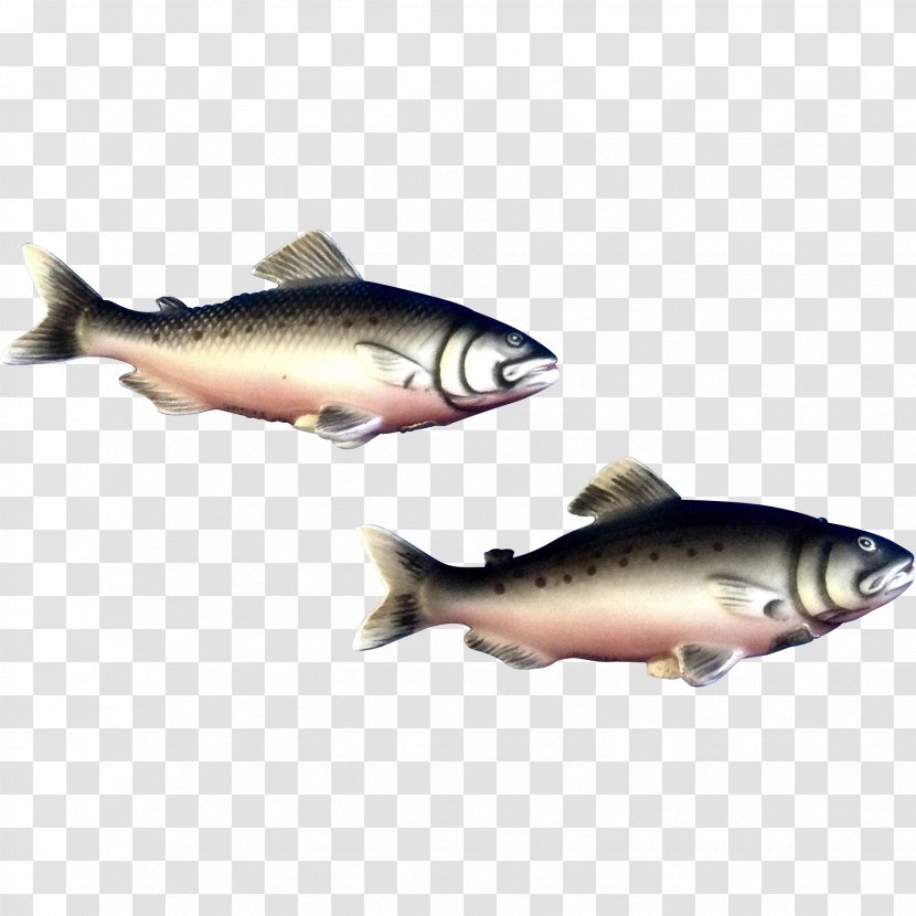 Trout Herring Oily Fish Salt - Salmon Transparent PNG