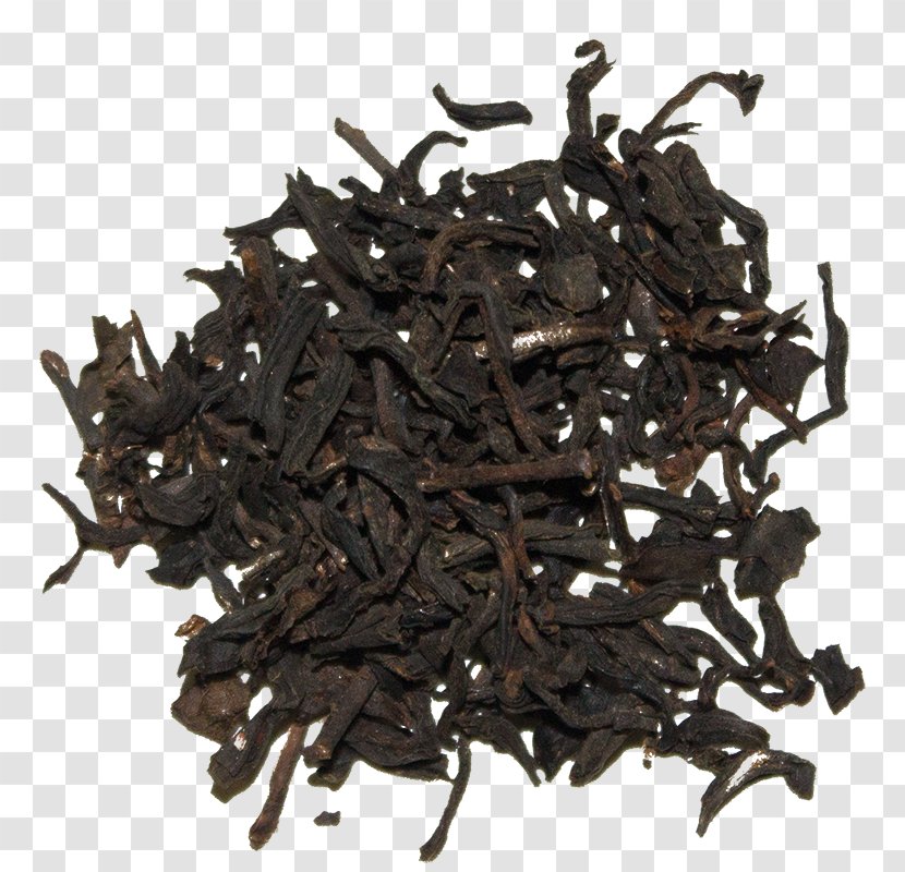 Tea Production In Sri Lanka Nilgiri Lapsang Souchong White - Chinese Savior Crepe Transparent PNG