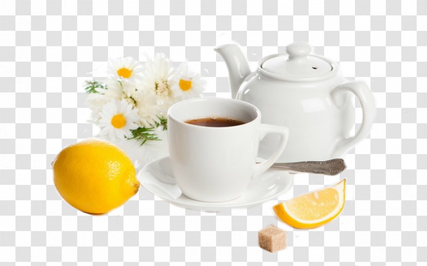 Green Tea Espresso English Breakfast Teapot - Serveware Transparent PNG
