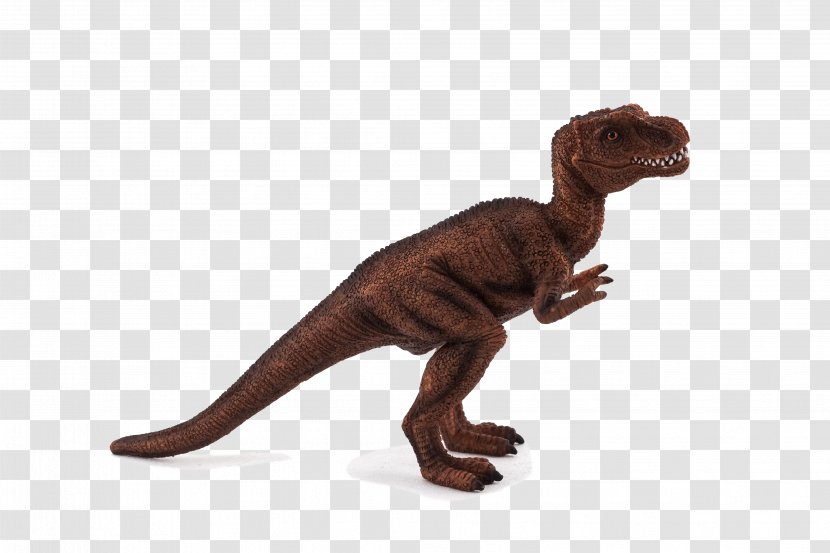Tyrannosaurus Allosaurus Stegosaurus Velociraptor Dinosaurs & Prehistoric Animals - T Rex Transparent PNG