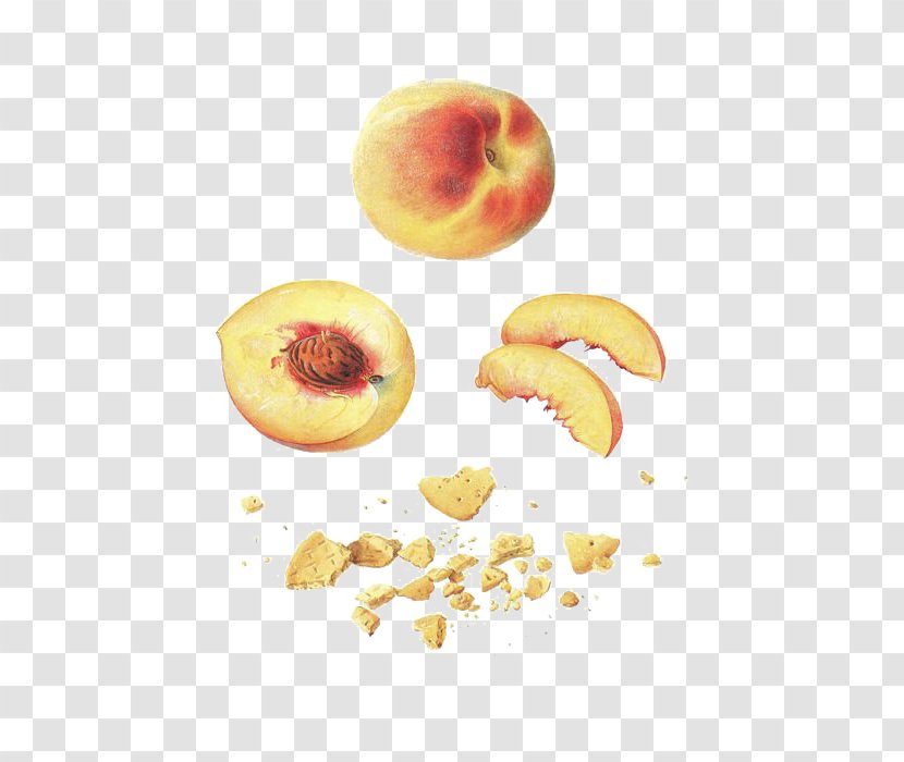 Peach Download Fruit Transparent PNG