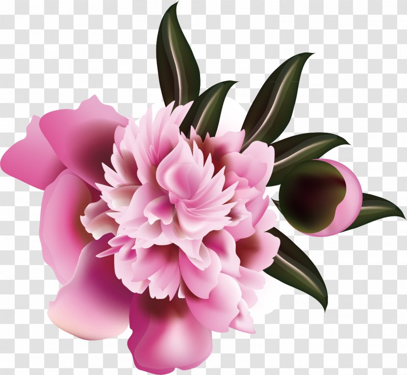 Floral Design Flower Illustration - Petal - Pattern Elements Transparent PNG