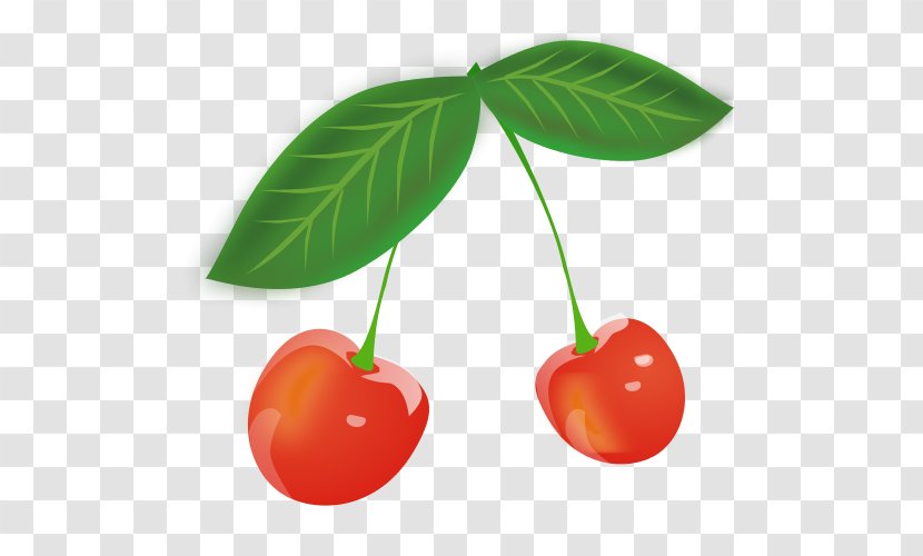 Sweet Cherry Clip Art - Sour - Cherries Transparent PNG