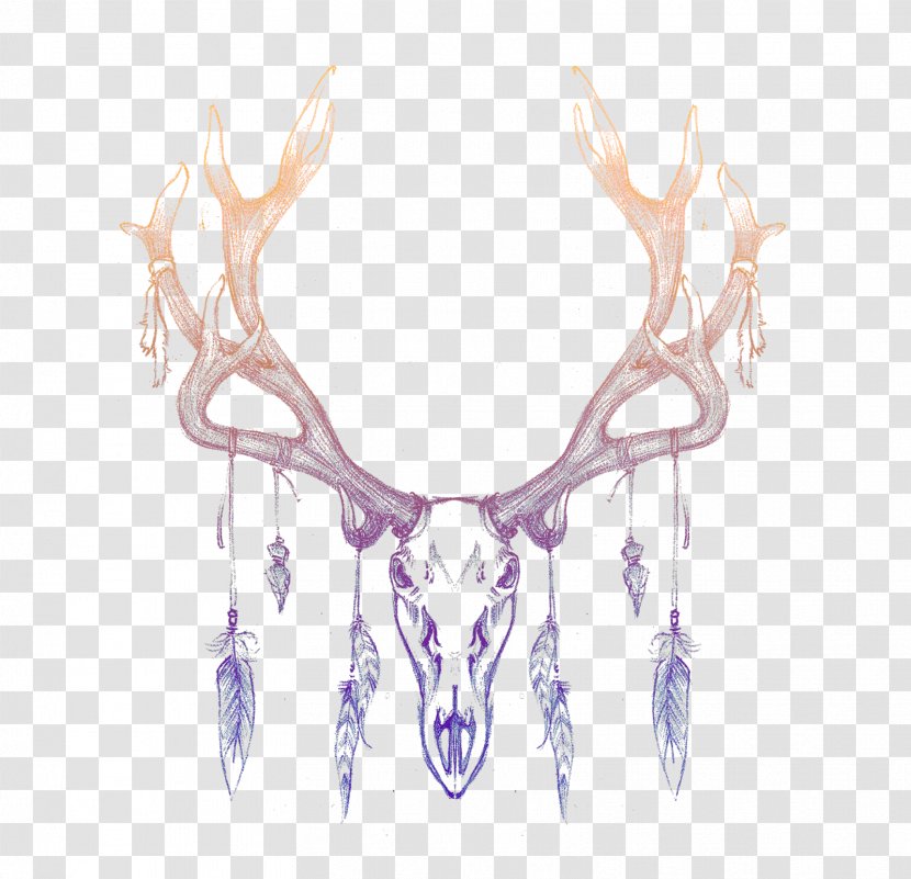 Reindeer Antler Horn Drawing - Skull Transparent PNG