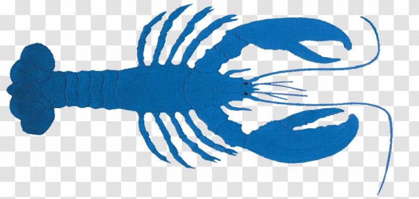 Marine Mammal Line Clip Art Transparent PNG