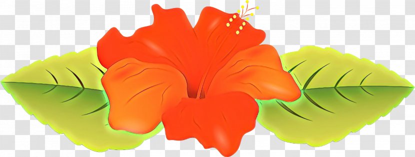 Watercolor Flower Background - Painting - Mallow Family Plant Transparent PNG