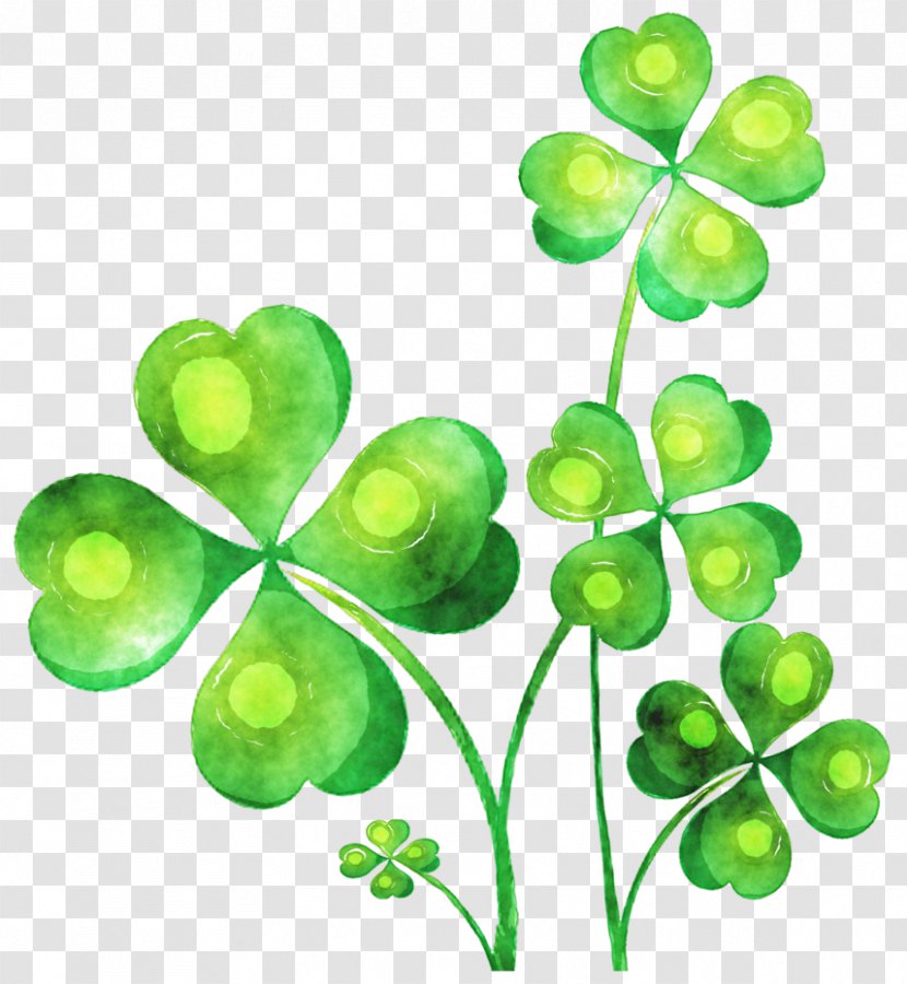 Ireland T-shirt Four-leaf Clover Shamrock - Green - Painted Transparent PNG