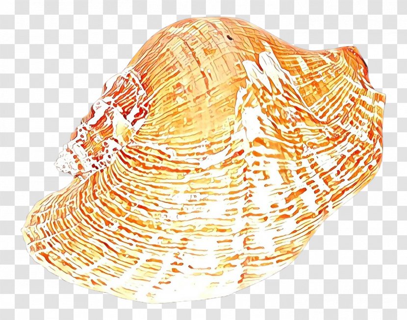 Cockle - Conch - Shankha Bivalve Transparent PNG